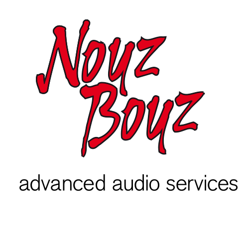 NoyzBoyz