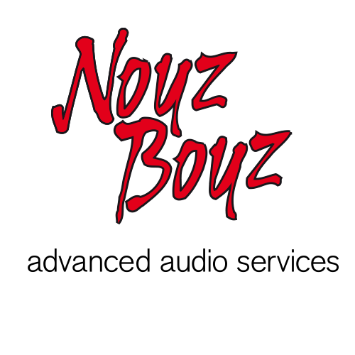 Noyz Boyz Audio